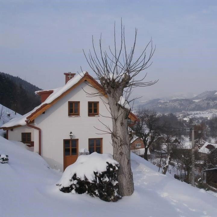 Charming House With Beautiful Landscape Villa Frýdštejn Eksteriør bilde